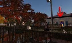 Cranberry Cove Role Play