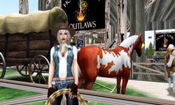 Honky Tonk Outlaws
