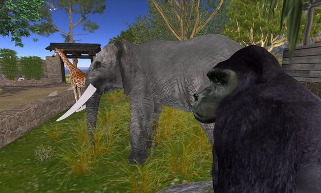 ZOO WORLD - Congratulations, Le Dome!